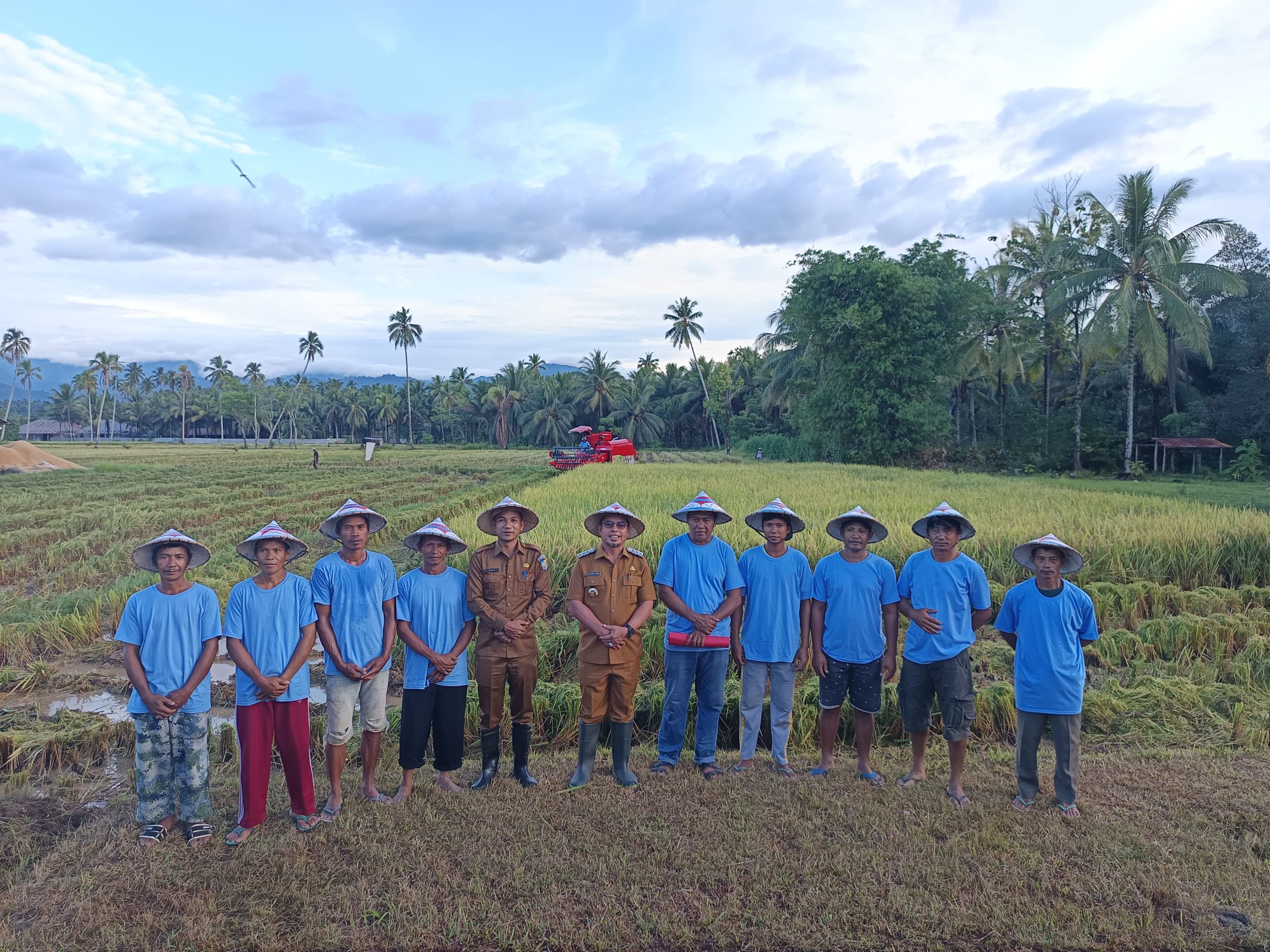 Bupati Kabupaten Bolaang Mongondow Utara (Boltara) Dr. Sirajudin Lasena, SE., M.Ec.Dev bersama Wakil Bupati Mohammad Aditya Pontoh, SIP, didampingi sejumlah pimpinan Organisasi Perangkat Daerah (OPD) terkait, melangsungkan panen padi varietas lokal JR28 di Desa Tuntulow Utara, Kecamatan Pinogaluman