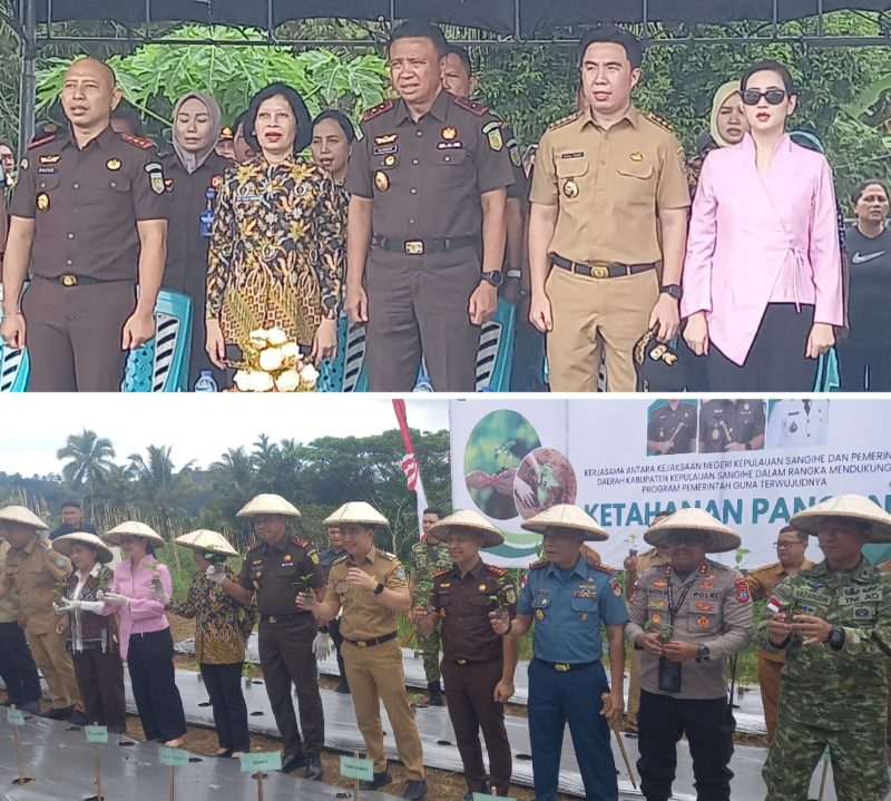 Bupati Kabupaten Kepulauan Sangihe  Michael Thungari dan Kajati Sulut Jacob Hendrik Pettilohy serta Forkompinda melakukan penanaman bibit cabai.