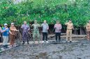 Bupati Kabupaten Kepulauan Sangihe Michael Thungari Memimpin Langsung Aski Penanaman Pohon Mangrove di Teluk Talengen