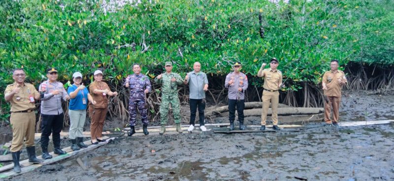 Bupati Kabupaten Kepulauan Sangihe Michael Thungari Memimpin Langsung Aski Penanaman Pohon Mangrove di Teluk Talengen
