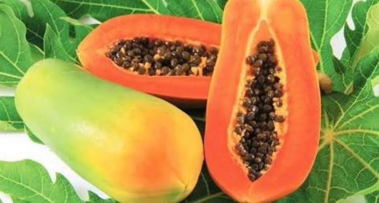 Foto ilustrasi buah pepaya