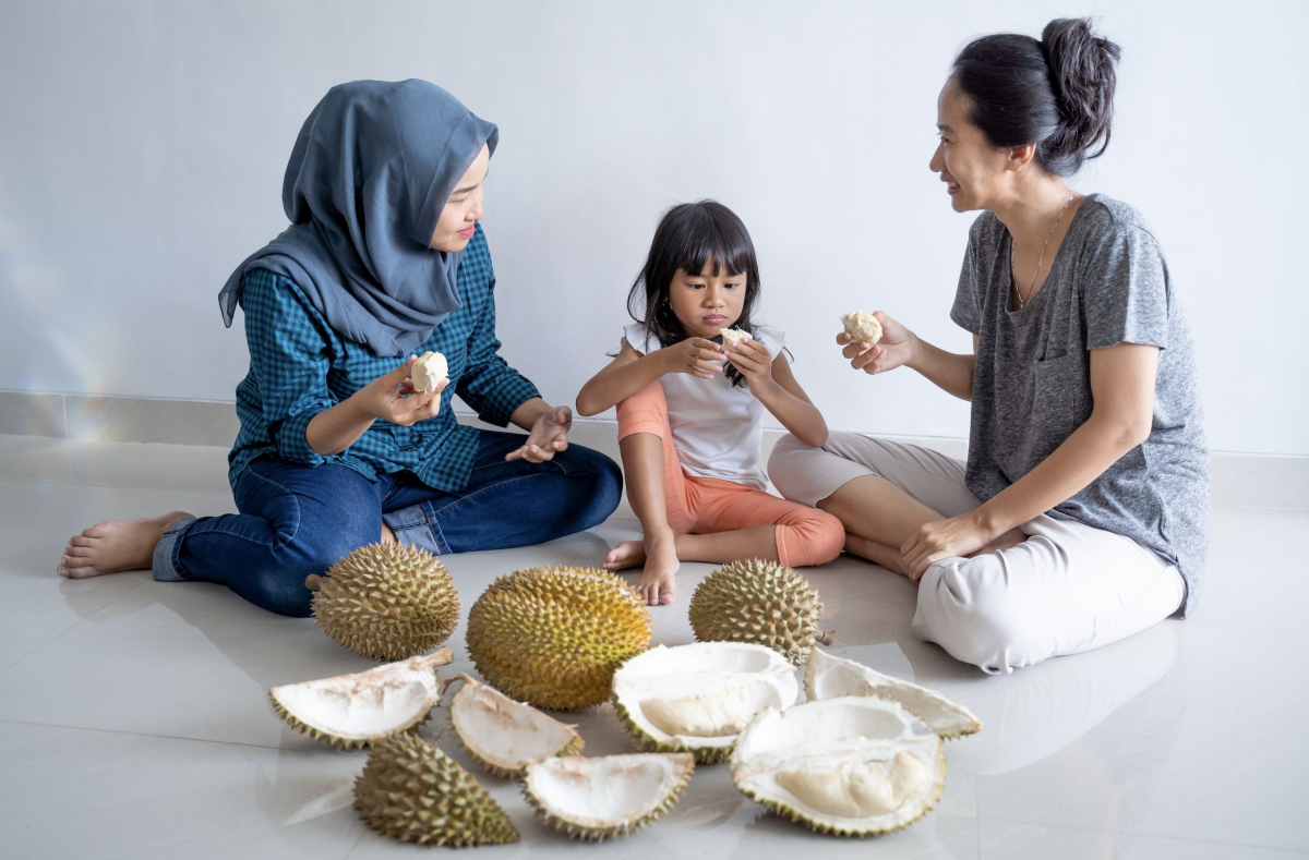 ilustrasi makan durian