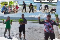 Bupati Dr. Sirajudin Lasena bersama Wakil Bupati Mohammad Aditya Pontoh saat proses pencanangan program penanaman padi varietas lokal (Foto Kominfo)