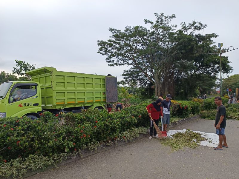 Personil petugas kebersihan DLH Boltara membersihkan sisa-sisa pohon yang akan diganti