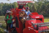 Bupati Boltara Dr. Sirajudin Lasena saat melakukan panen padi varietas JR28 menggunakan alsintan combine harvester, bersama kelompok tani dan didampingi oleh wakil bupati Moh. Aditya Pontoh dan Kepala Dinas Pertanian