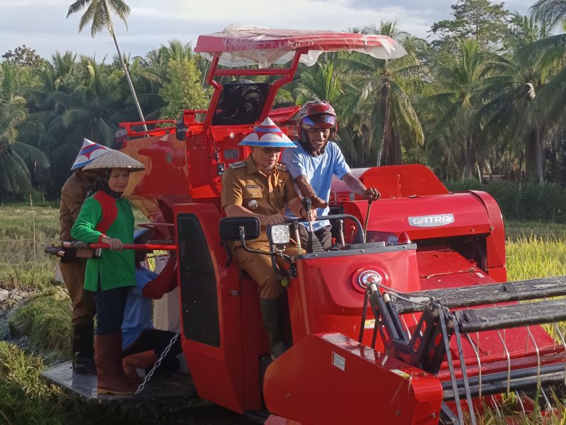 Bupati Boltara Dr. Sirajudin Lasena saat melakukan panen padi varietas JR28 menggunakan alsintan combine harvester, bersama kelompok tani dan didampingi oleh wakil bupati Moh. Aditya Pontoh dan Kepala Dinas Pertanian