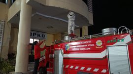 Personil Damkar Boltara memusnahkan sarang tawon vespa yang berada di area BPKPD Boltara setelah menerima laporan warga