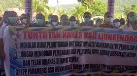 Nakes RSUD Liung Kendage Datangi Kantor DPRD Sangihe, sampaikan sejumlah tuntutan