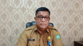 Kepala Dinas Lingkungan Hidup (DLH) Sangihe, Ronny J. Pasieale