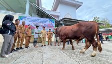 Bantuan hewan kurban dari Presiden Prabowo Subianto, diserahkan langsung oleh Bupati Boltara Sirajudin Lasena kepada pengurus DKM Mesjid Besar Fastabiqul Khairaat di Desa Padang, Kecamatan Bintauna.