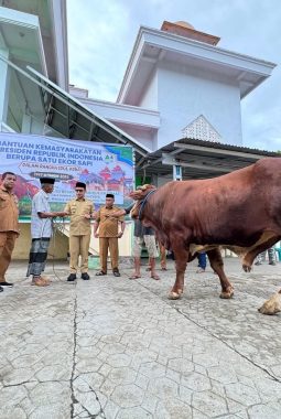 Bupati Sirajudin Lasena Serahkan Bantuan Hewan Kurban Presiden RI di Bintauna