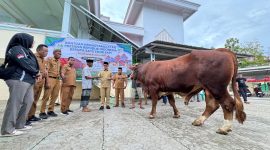 Bantuan hewan kurban dari Presiden Prabowo Subianto, diserahkan langsung oleh Bupati Boltara Sirajudin Lasena kepada pengurus DKM Mesjid Besar Fastabiqul Khairaat di Desa Padang, Kecamatan Bintauna.