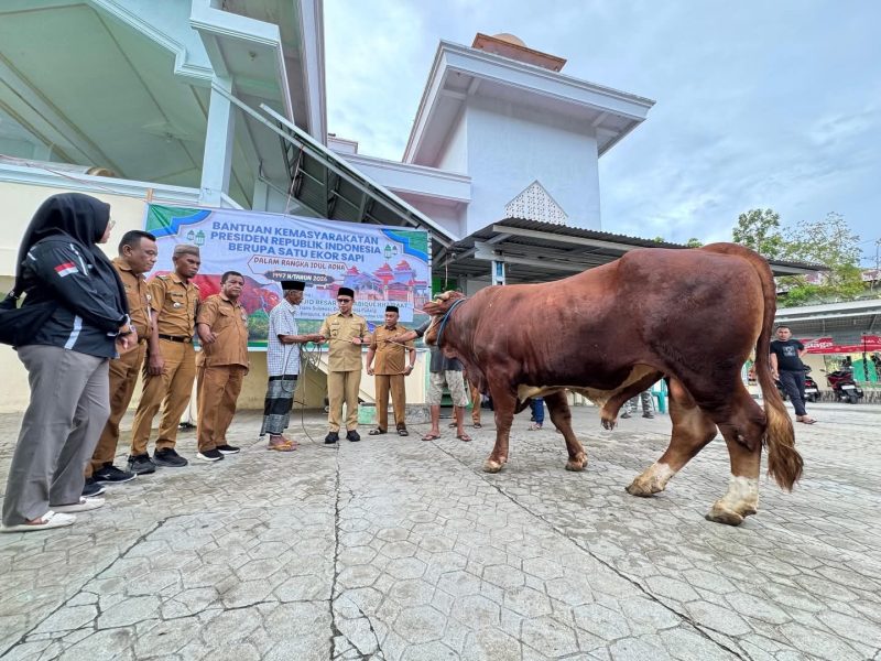 Bantuan hewan kurban dari Presiden Prabowo Subianto, diserahkan langsung oleh Bupati Boltara Sirajudin Lasena kepada pengurus DKM Mesjid Besar Fastabiqul Khairaat di Desa Padang, Kecamatan Bintauna.