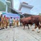 Bantuan hewan kurban dari Presiden Prabowo Subianto, diserahkan langsung oleh Bupati Boltara Sirajudin Lasena kepada pengurus DKM Mesjid Besar Fastabiqul Khairaat di Desa Padang, Kecamatan Bintauna.