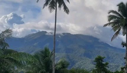 Aktivitas vulkanik Gunung Awu di Kabupaten Kepulauan Sangihe terus menunjukkan peningkatan signifikan. Menyikapi kondisi tersebut, Pusat Vulkanologi dan Mitigasi Bencana Geologi (PVMBG) resmi menaikkan status gunung api tersebut dari Level II (Waspada) menjadi Level III (Siaga), terhitung mulai Selasa, 19 Mei 2026 pukul 13.00 WITA.