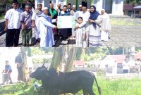 Penyerahan Hewan Qurban Oleh Anggota DPRD Sangihe, Jais Salele di dampingi Istri dan Anak kepada Ketua Panitia Qurban Abdurahman Padarat yang di Saksikan oleh Jama'ah Masjid Imaduddin Bahu.