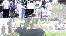 Penyerahan Hewan Qurban Oleh Anggota DPRD Sangihe, Jais Salele di dampingi Istri dan Anak kepada Ketua Panitia Qurban Abdurahman Padarat yang di Saksikan oleh Jama'ah Masjid Imaduddin Bahu.