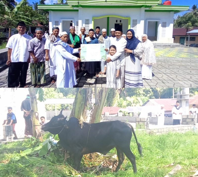 Penyerahan Hewan Qurban Oleh Anggota DPRD Sangihe, Jais Salele di dampingi Istri dan Anak kepada Ketua Panitia Qurban Abdurahman Padarat yang di Saksikan oleh Jama'ah Masjid Imaduddin Bahu.