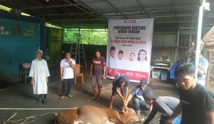 Masih dalam momentum Hari Raya Idul Adha 1447 Hijriah, Pengurus Daerah (PD) Tunas Indonesia Raya (TIDAR) Sulawesi Utara menyalurkan bantuan hewan qurban bagi masyarakat di Kabupaten Kepulauan Sangihe. Sebanyak empat ekor hewan qurban disembelih dan dibagikan sebagai bentuk kepedulian serta kebersamaan organisasi kepemudaan tersebut dengan warga setempat.