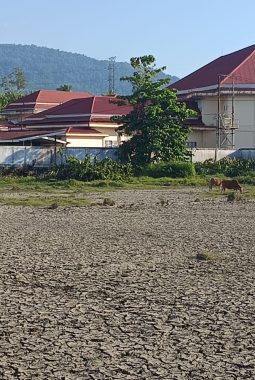 BPBD Boltara Ungkap Penyebab Kekeringan dan Imbau Warga Waspada Selama Musim Kemarau
