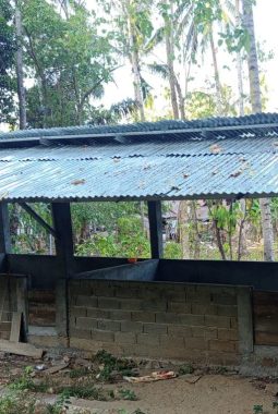 Dana Desa Rp130 Juta, Ternak Babi Bumdes Mome Tuai Sorotan