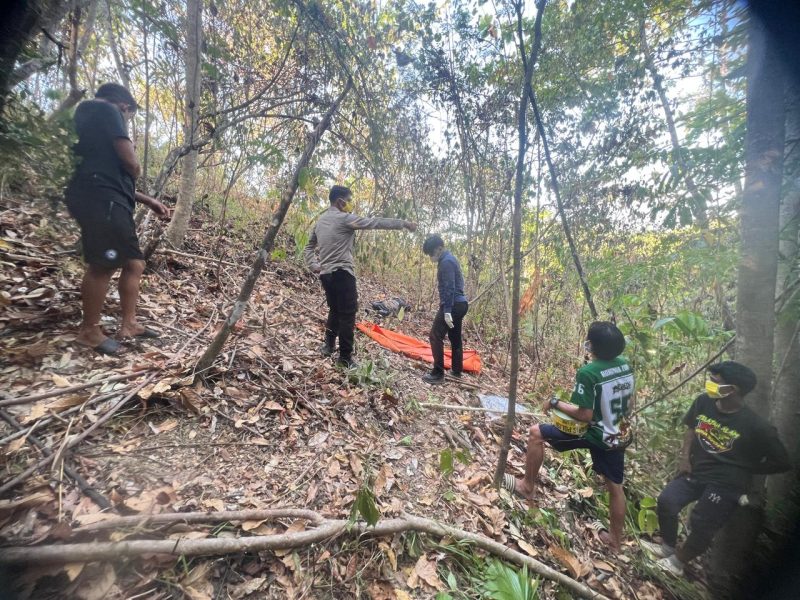 Jasad Pria yang ditemukan di perkebunan perindu telah dimasukkan ke kantong jenazah untuk penanganan lebih lanjut