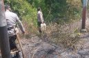 Usaha Pemadaman Api yang di lakukan oleh personil anggota Polsek Tabukan Tengah