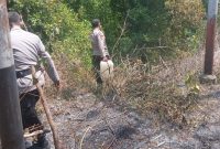 Usaha Pemadaman Api yang di lakukan oleh personil anggota Polsek Tabukan Tengah