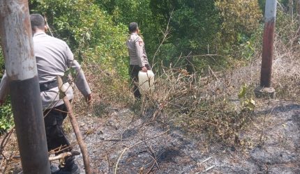 Kebakaran lahan perkebunan terjadi di Kampung Bowongkali, Lindongan III, Kecamatan Tabukan Tengah, Kabupaten Kepulauan Sangihe, Sabtu (19/9/2026) sekitar pukul 09.10 WITA.